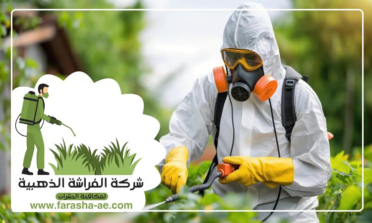 شركة مكافحة الحشرات في العوير 4 شركة مكافحة الحشرات في العوير