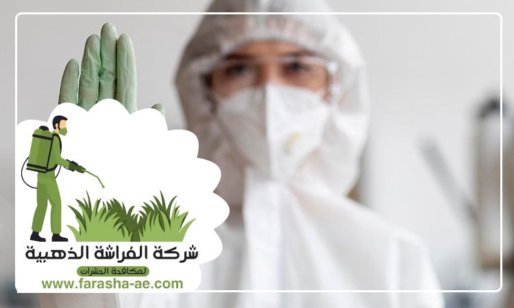 شركة مكافحة الحشرات في العوير 3 شركة مكافحة الحشرات في العوير