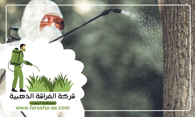 شركة مكافحة الحشرات في العوير