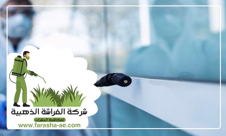 شركة مكافحة الحشرات في الراشدية 5 شركة مكافحة الحشرات في الراشدية
