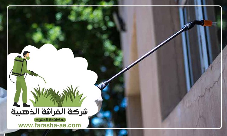 شركة مكافحة الحشرات في الراشدية 4 شركة مكافحة الحشرات في الراشدية