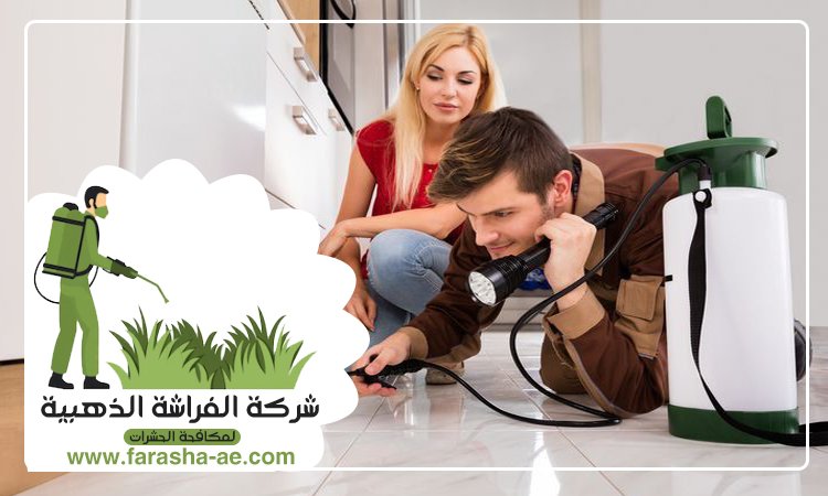 شركة مكافحة الحشرات في الراشدية 3 شركة مكافحة الحشرات في الراشدية