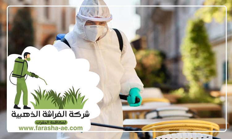 شركة مكافحة الحشرات في الروضة 4 شركة مكافحة الحشرات في الروضة