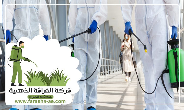 شركة مكافحة الحشرات في الفرجان 5 شركة مكافحة الحشرات في الفرجان