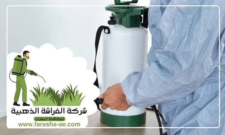 شركة مكافحة الحشرات في الفرجان