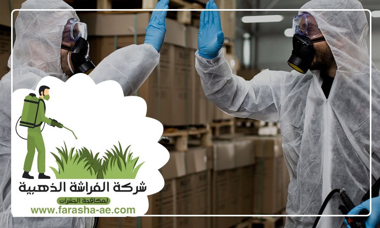شركة مكافحة الحشرات في السهول 5 شركة مكافحة الحشرات في السهول