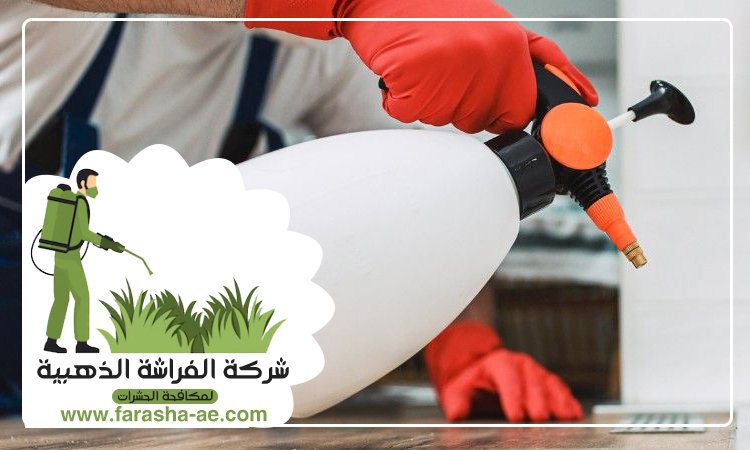 شركة مكافحة الحشرات في السهول 3 شركة مكافحة الحشرات في السهول