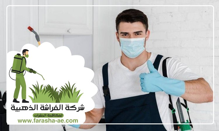 شركة مكافحة حشرات في البراري 5 شركة مكافحة حشرات في البراري