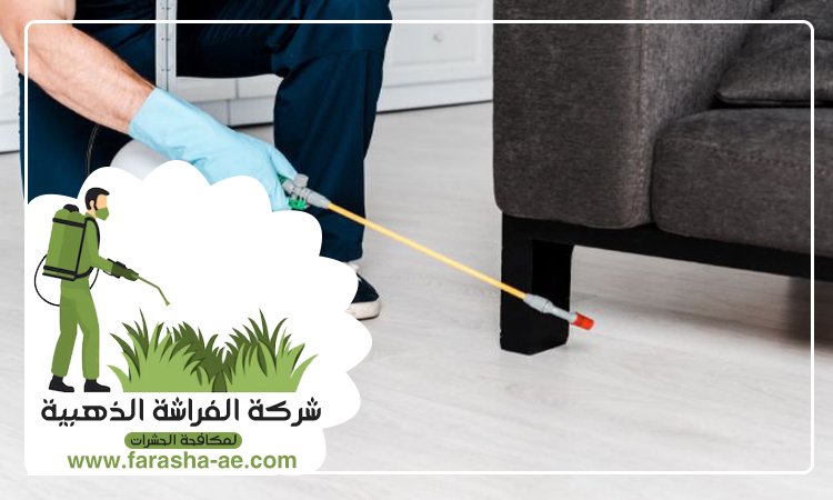 شركة مكافحة حشرات في البراري 4 شركة مكافحة حشرات في البراري