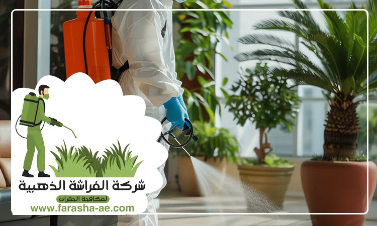 شركة مكافحة حشرات في البراري 3 شركة مكافحة حشرات في البراري