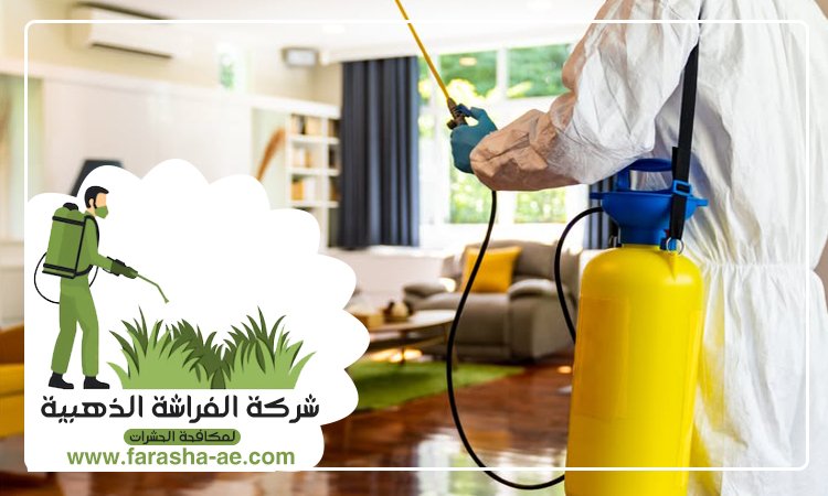 شركة مكافحة حشرات في البراري 2 شركة مكافحة حشرات في البراري