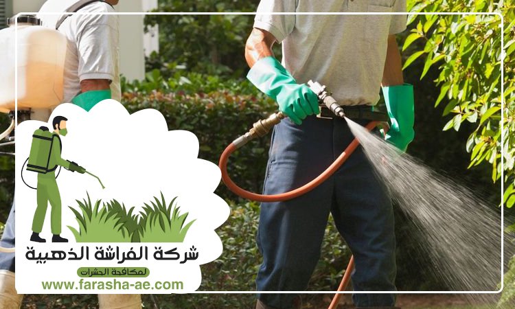 شركة مكافحة حشرات في الجافلية 4 شركة مكافحة حشرات في الجافلية