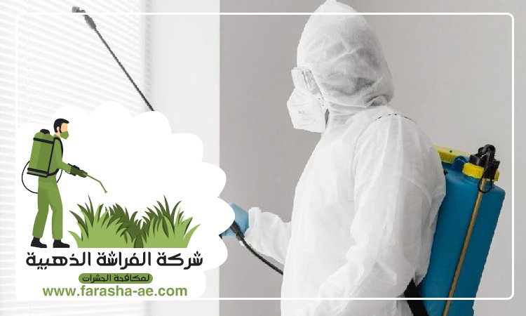 شركة مكافحة حشرات في السيوح 5 شركة مكافحة حشرات في السيوح