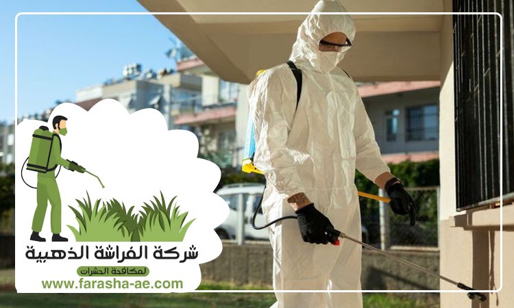 شركة مكافحة حشرات في السيوح 3 شركة مكافحة حشرات في السيوح