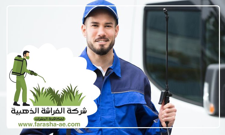 شركة مكافحة حشرات في خورفكان 4 شركة مكافحة حشرات في خورفكان