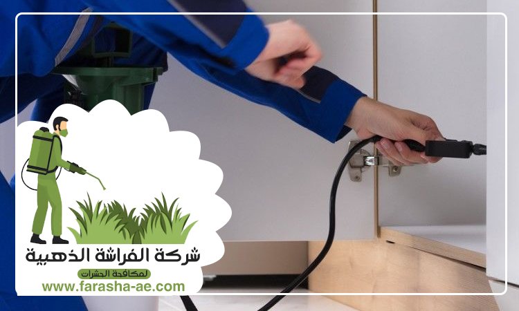 شركة مكافحة حشرات في خورفكان 3 شركة مكافحة حشرات في خورفكان