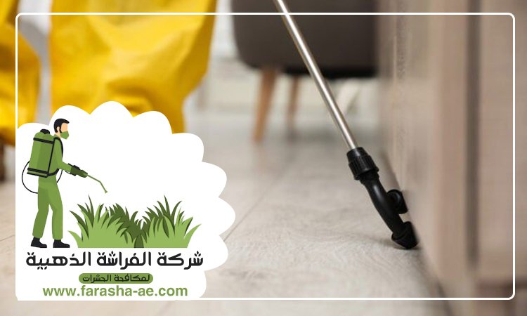 شركة مكافحة حشرات في الزيد 4 شركة مكافحة حشرات في الزيد