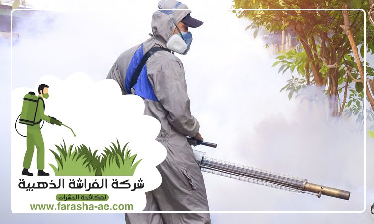 شركة مكافحة حشرات في الزيد 3 شركة مكافحة حشرات في الزيد