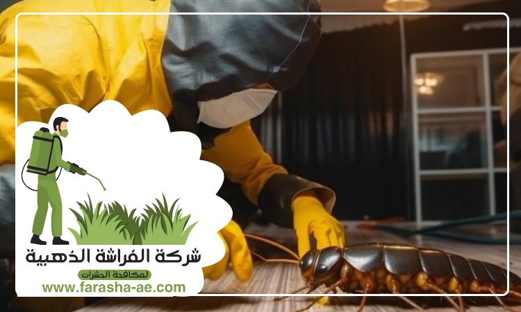 شركة مكافحة حشرات في المدام 4 شركة مكافحة حشرات في المدام
