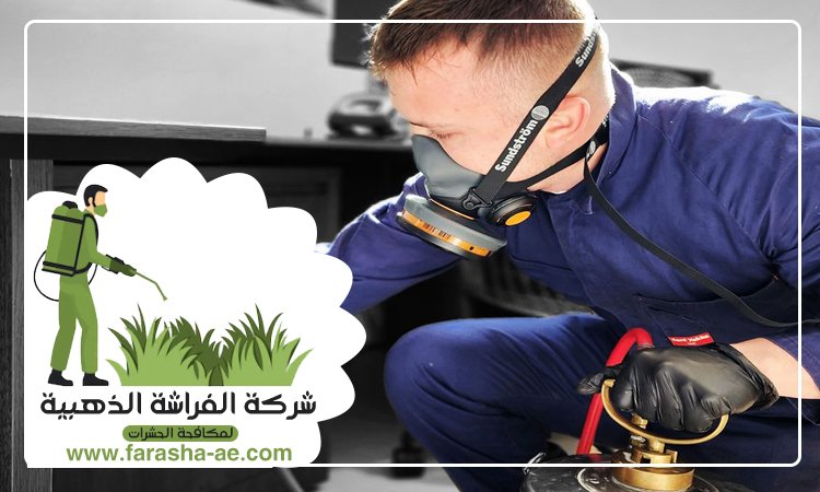شركة مكافحة حشرات في المدام 3 شركة مكافحة حشرات في المدام