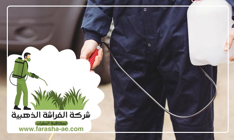 شركة مكافحة حشرات في الطور 5 شركة مكافحة حشرات في الطور