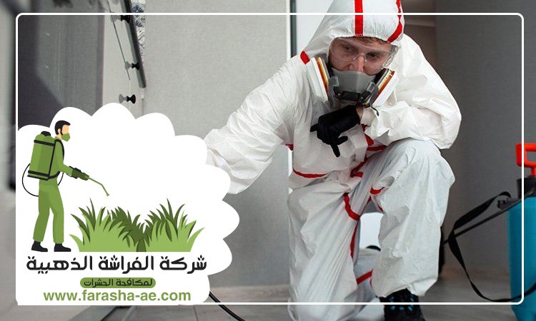 شركة مكافحة حشرات في أم هرير 3 شركة مكافحة حشرات في أم هرير