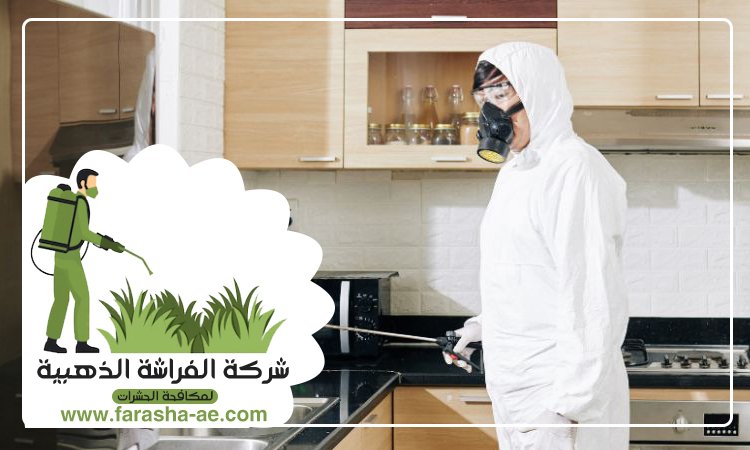 شركة مكافحة حشرات في إعمار 5 شركة مكافحة حشرات في إعمار