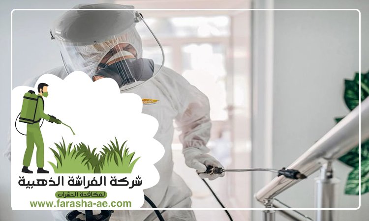 شركة مكافحة حشرات في إعمار 3 شركة مكافحة حشرات في إعمار
