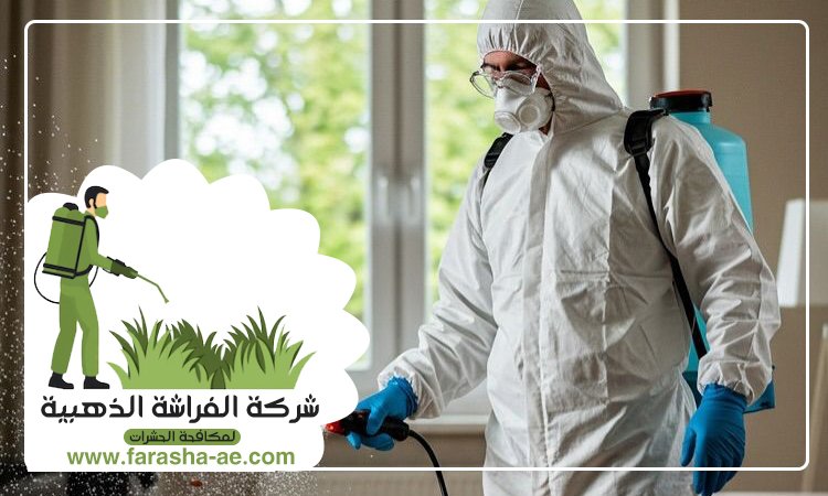 شركة مكافحة حشرات في صفد 4 شركة مكافحة حشرات في صفد