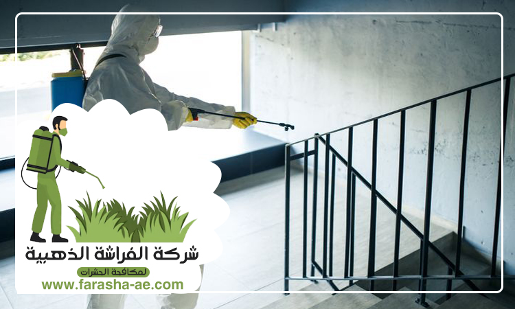 شركة مكافحة حشرات في عجمان 5 شركة مكافحة حشرات في عجمان