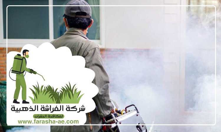 شركة مكافحة حشرات في اوحلة 5 شركة مكافحة حشرات في اوحلة