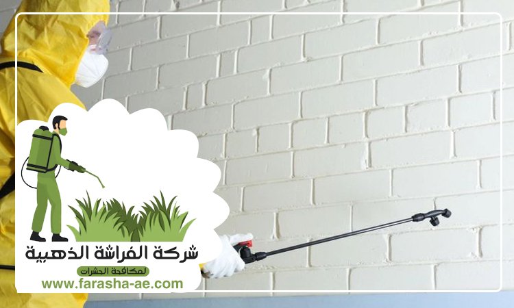 شركة مكافحة حشرات في اوحلة 4 شركة مكافحة حشرات في اوحلة