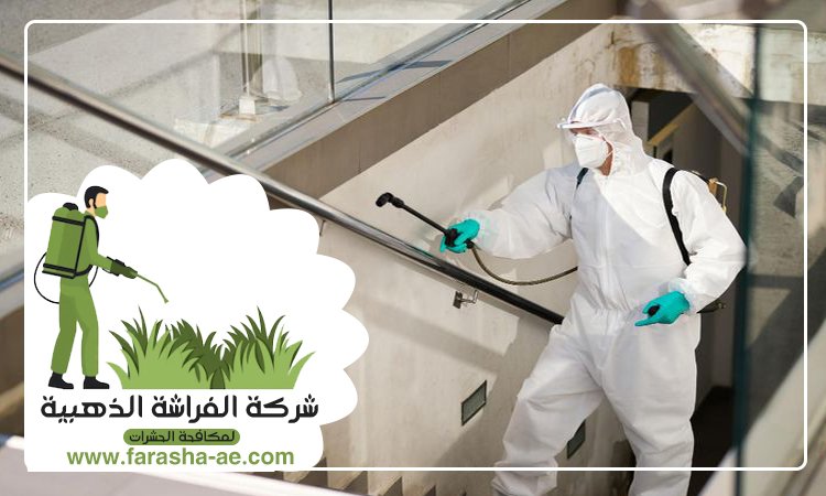 شركة مكافحة حشرات في اوحلة