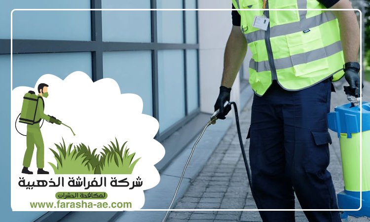 شركة مكافحة الحشرات في الصفا 5 شركة مكافحة الحشرات في الصفا
