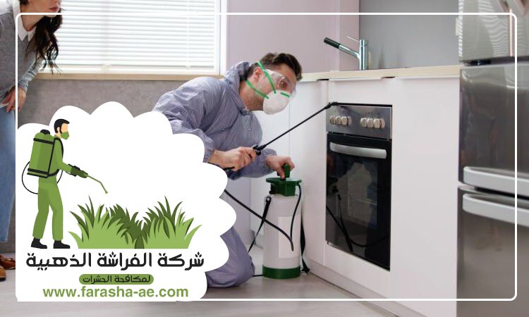 شركة مكافحة الحشرات في الصفا