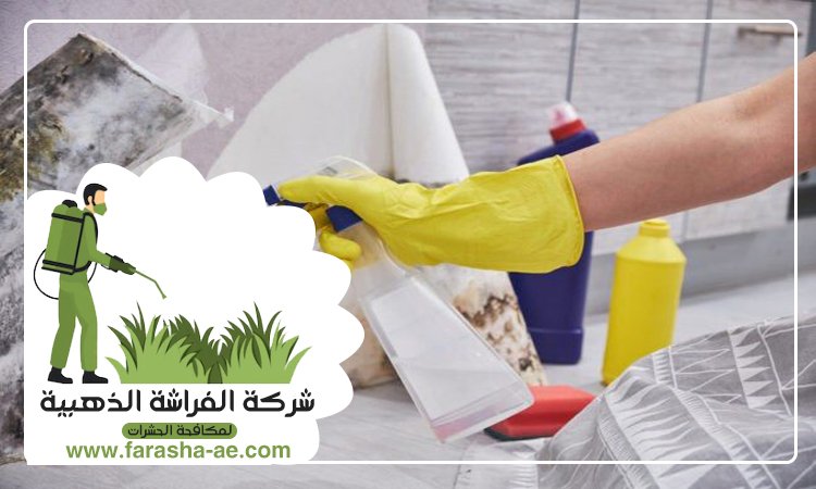 شركة تنظيف حوائط في الشارقة 4 شركة تنظيف حوائط في الشارقة