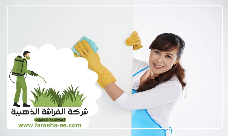 شركة تنظيف حوائط في راس الخيمة 5 شركة تنظيف حوائط في راس الخيمة