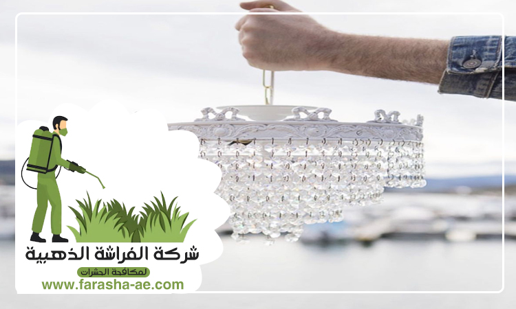 شركة تنظيف نجف في ابوظبي 3 شركة تنظيف نجف في ابوظبي