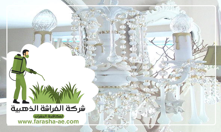 شركة تنظيف نجف في ابوظبي