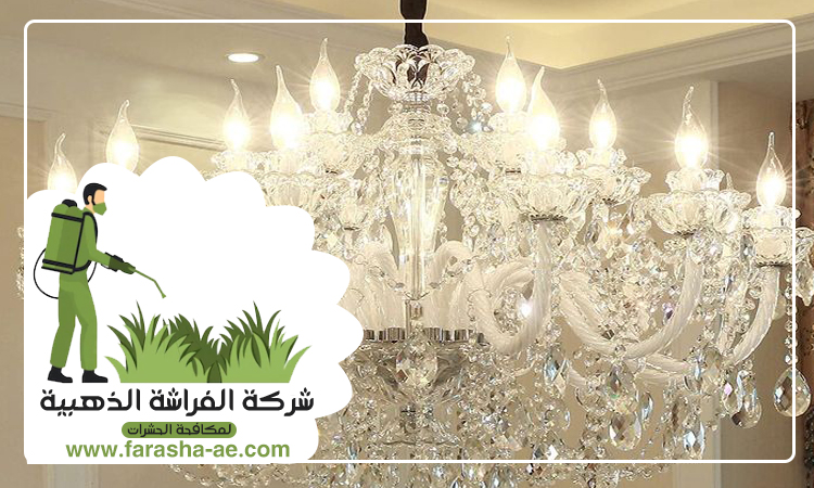 شركة تنظيف نجف في ابوظبي 4 شركة تنظيف نجف في ابوظبي