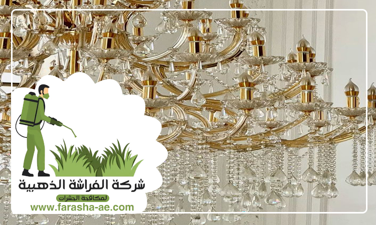 شركة تنظيف نجف في ام القيوين