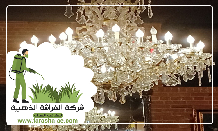 شركة تنظيف نجف في ابوظبي