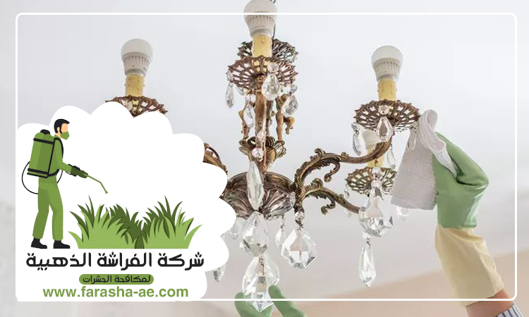 شركة تنظيف نجف في الشارقة 4 شركة تنظيف نجف في الشارقة