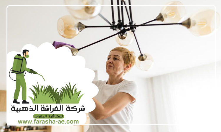 شركة تنظيف نجف في الشارقة 5 شركة تنظيف نجف في الشارقة