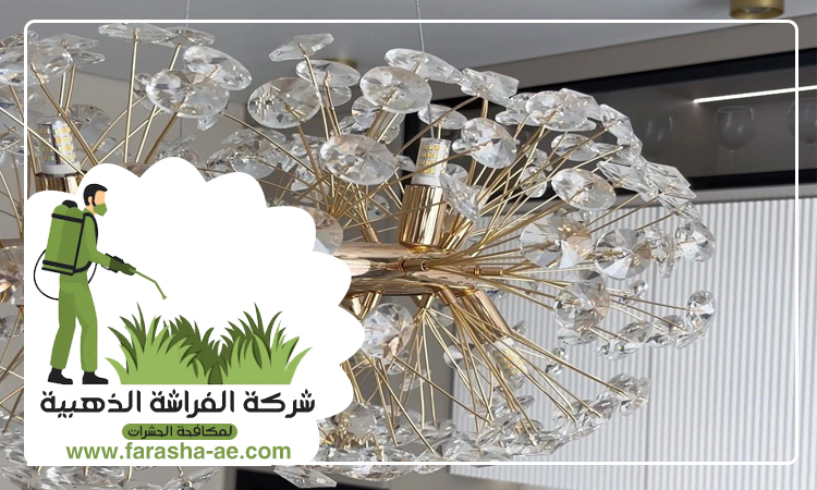 شركة تنظيف نجف في العين 3 شركة تنظيف نجف في العين