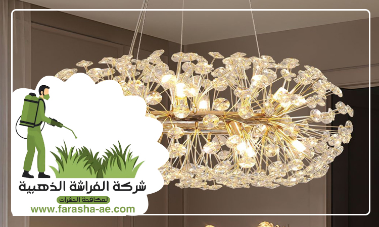 شركة تنظيف نجف في العين 4 شركة تنظيف نجف في العين