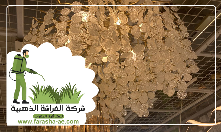 شركة تنظيف نجف في العين 5 شركة تنظيف نجف في العين