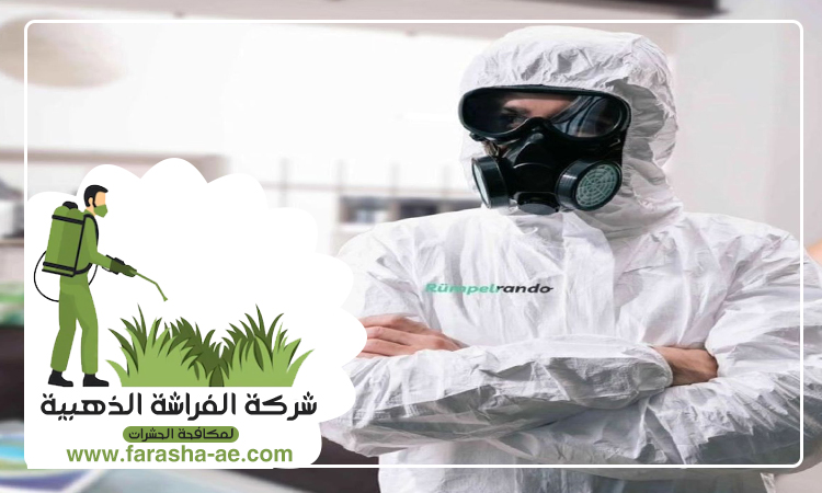 شركة مكافحة حشرات الورقاء دبي 5 شركة مكافحة حشرات الورقاء دبي