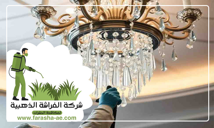 شركة تنظيف نجف في الفجيرة 4 شركة تنظيف نجف في الفجيرة