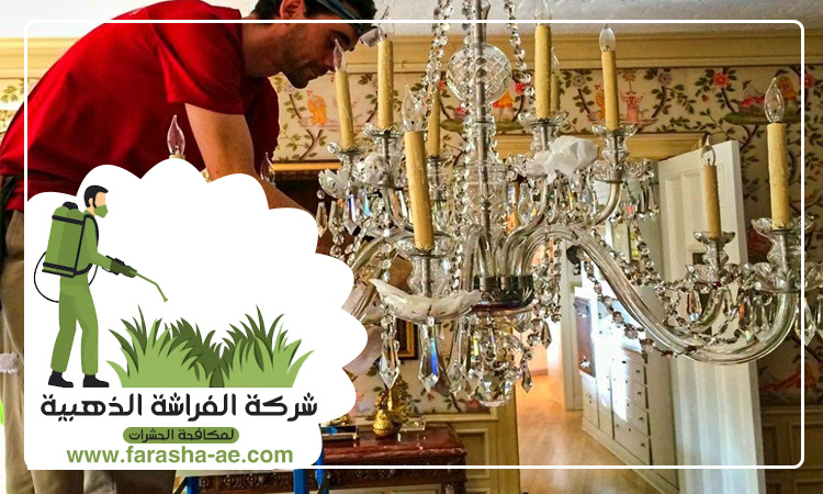 شركة تنظيف نجف في الفجيرة 5 شركة تنظيف نجف في الفجيرة